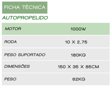 rapid ficha técnica