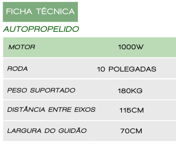 ficha tecnica triciclo